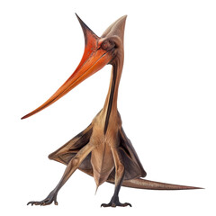 pteranodon dinosaur isolated on transparent background