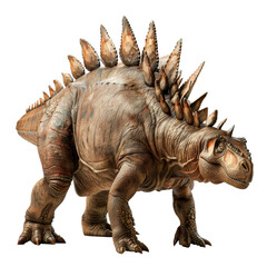 Fototapeta premium stegosarus dinosaur isolated on transparent background