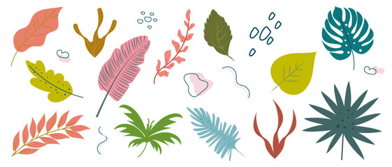 Set of hand drawn colorful abstract tropical leaves and shapes. Elements of spring summer design. Vector trendy flat linear illustration.