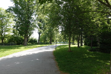 朝の公園と散歩路