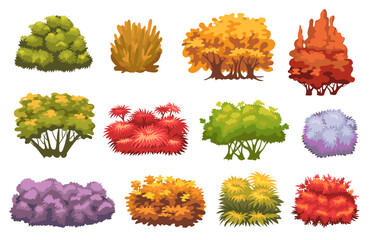 Obraz premium Cartoon autumn bushes. Fading garden plants. Color shrub trees. Decorative hedges. Botanical landscape elements. Yellow foliage and fall leaves. Natural shrubberies. Splendid vector set