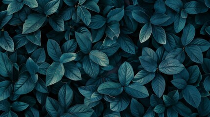 leaves texture background, dark green leafs pattern