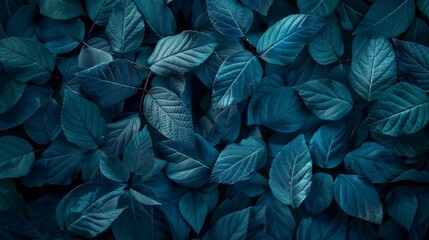 leaves texture background, dark green leafs pattern