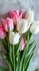 Spring flowers. Women's day background. Bouquet of white and pink tulips. Present gift for Mother's day. Space