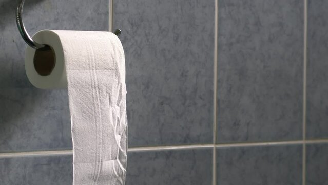 Toilet loo roll in bathroom in breeze