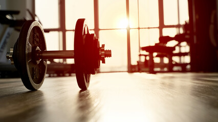 barbell in the gym in the sun