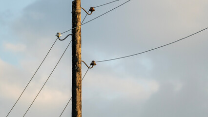 wires on power lines at sunset