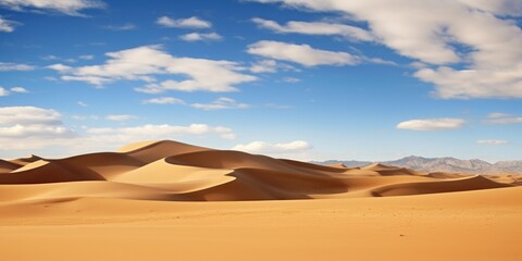 Fototapeta na wymiar Vast desert landscape with sand dunes
