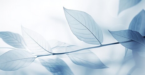 Delicate Leaf Structures in Soft Blue Tones