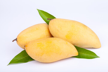 mango on white backgroud