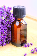 Fresh lavender flowers and oil