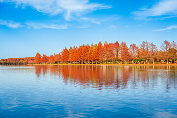 Mizumoto Park in Autumn