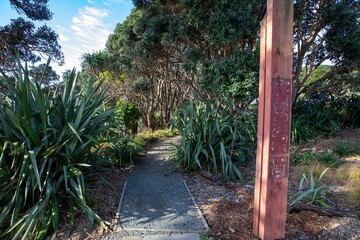 Path with Flax bush Goat Island, Leigh, Rodney District, New Zealand.