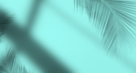 Abstract Backgrund summer Blue Palm Overlay Summer Sun Shadow Leaf White Gradient Color Blur Room...