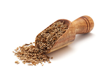 Front view of a wooden scoop filled with dry Organic Carrot (Daucus carota) seeds. Isolated on a white background.