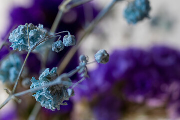 Dried flowers on a light background for copying. Flowers texture background