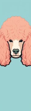 A pink poodle on a blue background