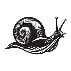 Vector snail silhouette illustration