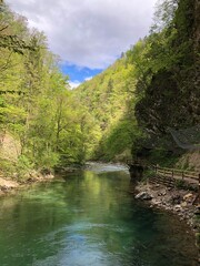 Vintgar gorge Slovenia nature amazing park river Triglav National Park Bled