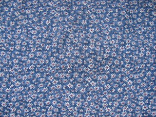 Daisy fabric