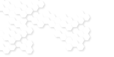 Background with hexagons . Abstract background with lines . white texture background . hexagon abstract background. Surface polygon pattern with glowing hexagon paper texture and futuristic business.