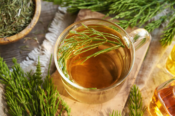 A glass cup of horsetail tea with fresh horsetail plant on a table