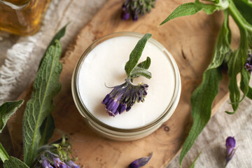 Comfrey root ointment in a glass jar with fresh blooming knitbone plant