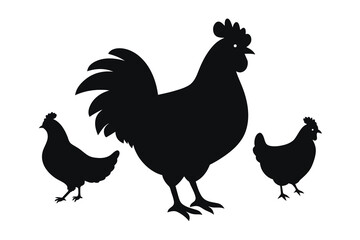 Chicken Silhouette Vectors design