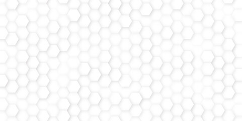 Hexagon Beehive honeycomb pattern wall black and white