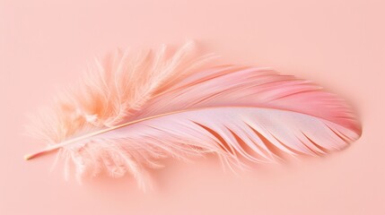 A soft, pink feather lies elegantly on a smooth, pastel pink background, conveying lightness and serenity.