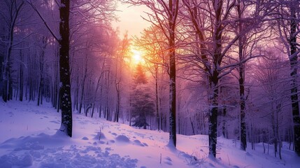 Sunlight filtering through a serene snowy forest at sunrise, with trees covered in snow.