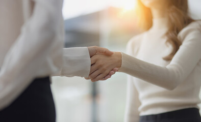 Businesswomen making handshake with partner, greeting at office.