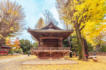 Nezu Shrine in Autumn
