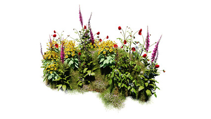 3D render various types of flowers grass bushes shrub and small plants on transparent background