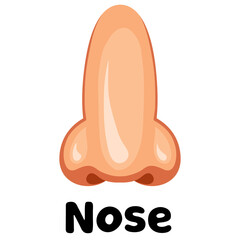 Nose vector icon illustration