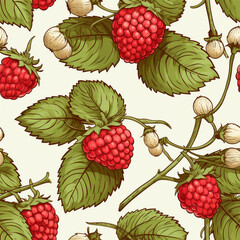 Raspberry seamless pattern in hand drawn sketch style, digital illustration. Berry background with engraving texture. Vintage, retro style drawing.