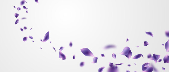Beautiful fluttering flower petals background vector illustration