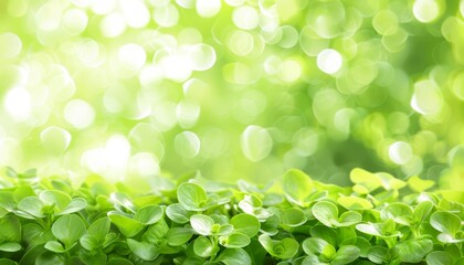 Naklejka premium Elegant artistic abstract green bokeh lights blur for stunning background decoration