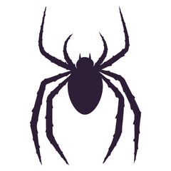 spider black silhouette