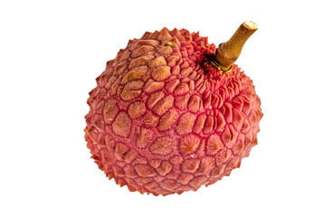 A single pic litchi on white background top view