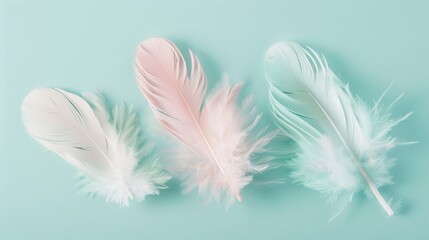 Pastel feather decor highlighting simplicity and elegance, showcased on a subtle mint background