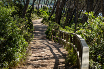 Punta De Ses Gatoves route, Mondrag&oacute; Natural Park, Santany&iacute; municipal area, Mallorca, Balearic Islands, Spain
