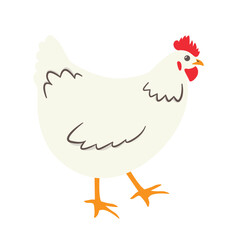 white chicken icon - vector illustration
