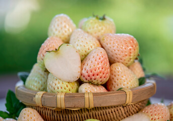 White Strawberries on wooden table in garden, Pink snow strawberry in wooden plate on blurred...