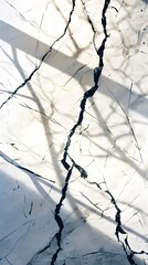 White Marble With Black Veins Surface Abstract Background, Shadows, Natural Light,  - obrazy, fototapety, plakaty