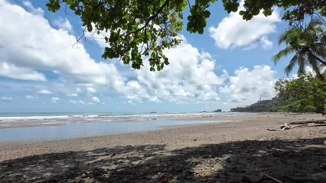 Empty beach, gentle waves, palm trees - pure relaxation 4K Resolution copy space