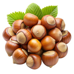 Bunch of fresh hazelnuts with green leaves isolated