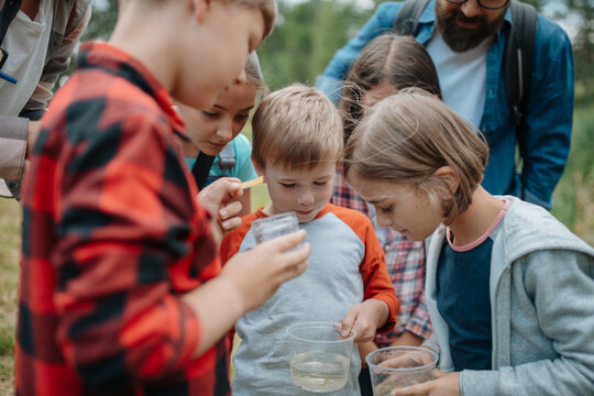 Young students analyzing water quality, ph level with indicator strips during biology field teaching class. Female teacher during outdoor active education.