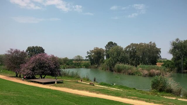 Tel Afek National Park, Yarkon. Israel Place for picnics, relaxation near the lake. Picturesque place, blossoming bauhinia tree