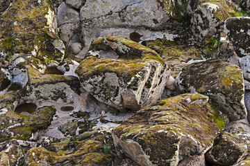 Natural moss on stones in the river forest